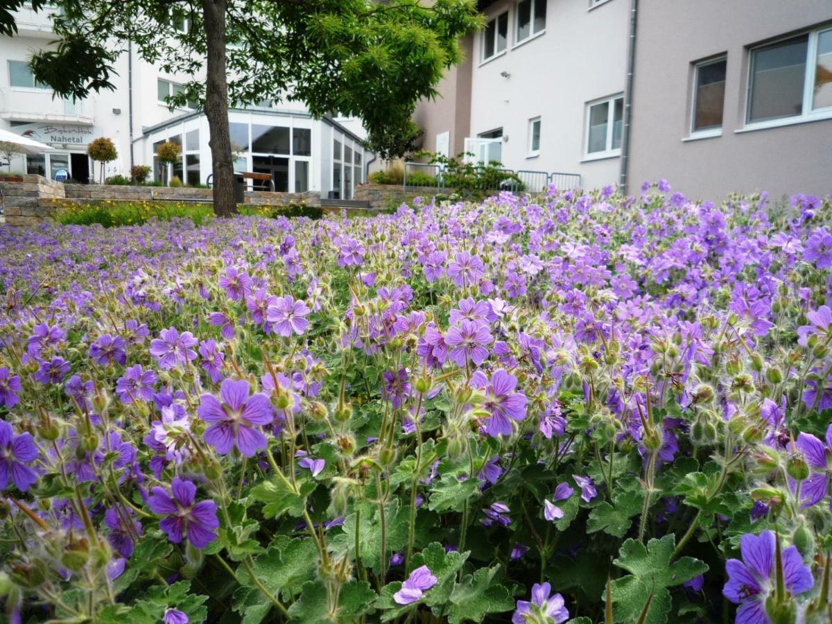 Hotel Nahetal Gensingen ภายนอก รูปภาพ